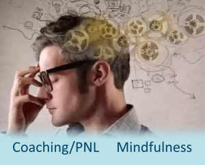 PNL2